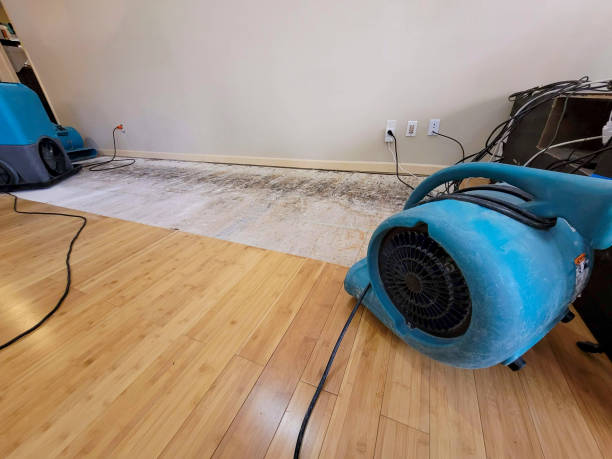 Professional Flood Damage Cleanup technician working in Arpin, WI